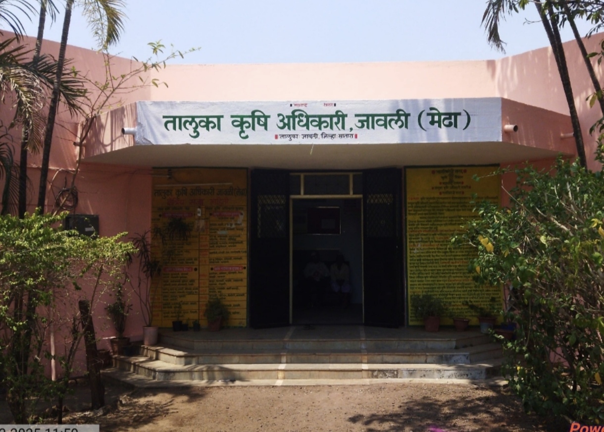 blog image